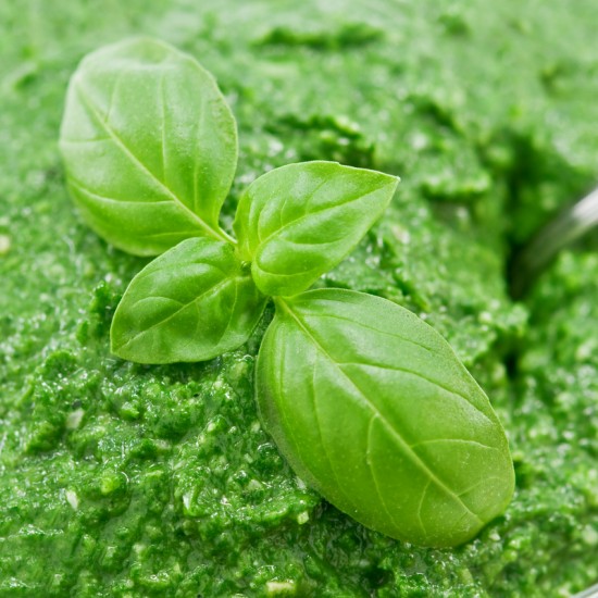 Basil Pesto