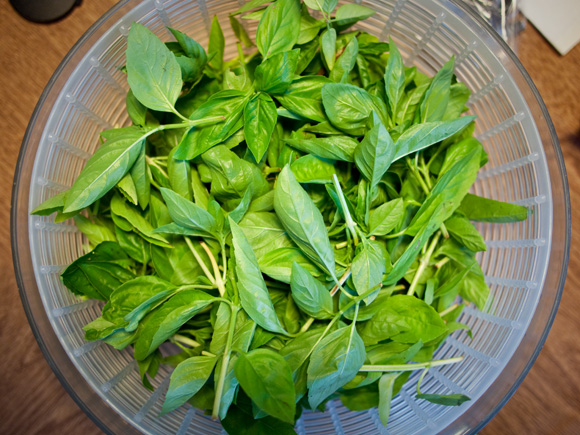 4 ounces of basil