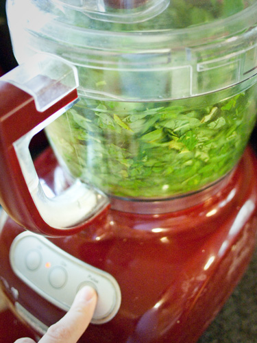 Basil in food processor