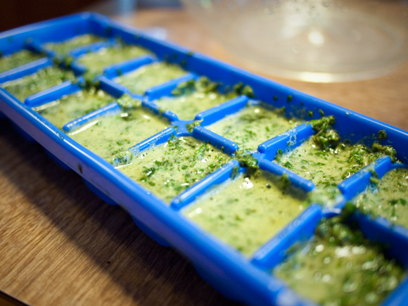 Basil puree in ice cube tray
