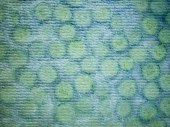 salted cucumbers under paper towel