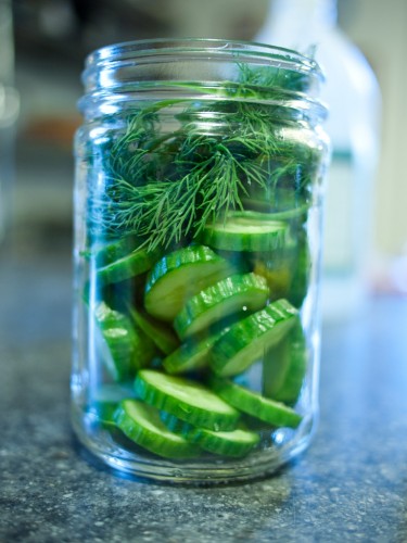 cucumbers and dill in jar