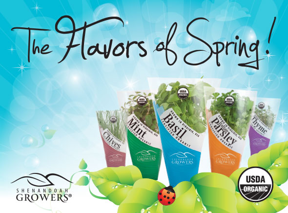 SG_flavors-of-spring_banner