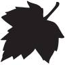 Permalink to Fall Into Fresh Herb Giveaways